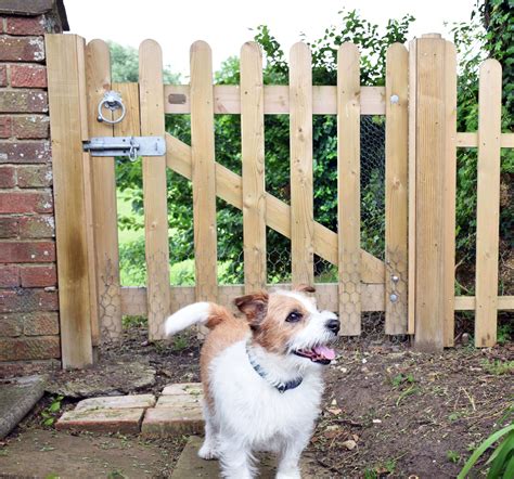 Does a Magic Fence Work for All Types of Dogs?
